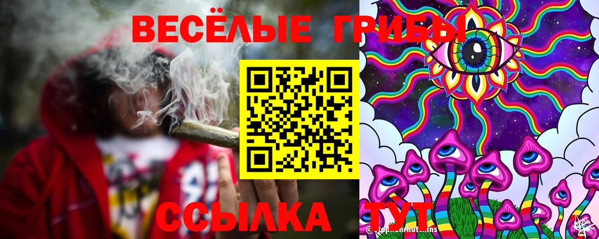 Галлюциногенные грибы ЛСД Дятьково