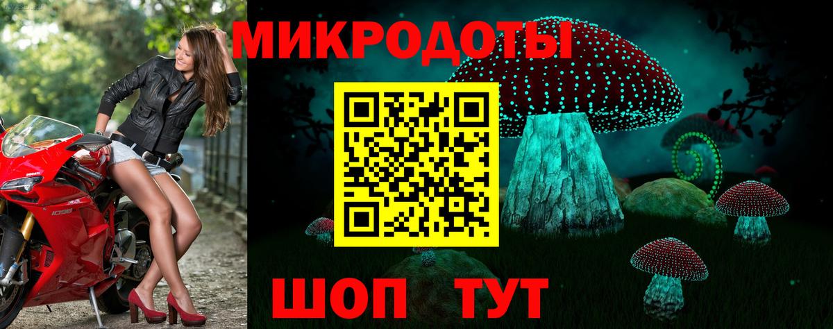 Галлюциногенные грибы мицелий  Галлюциногенные грибы прущие грибы  Вход с VPN  Дятьково 